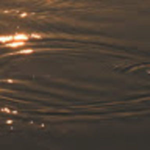 Meet your Posher, Sasha